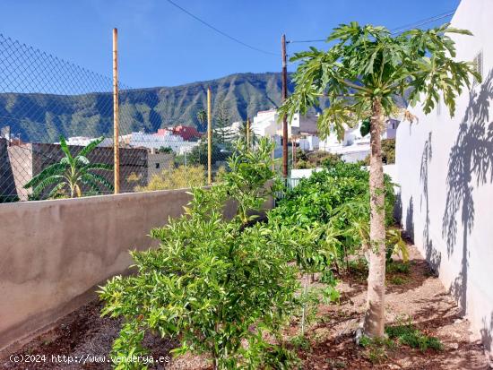 Espectacular Casa independiente con huerta, Güímar - SANTA CRUZ DE TENERIFE