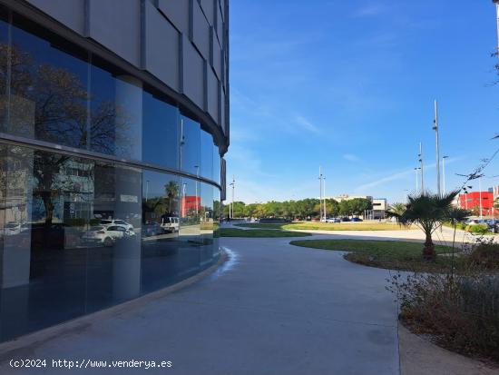 OFICINAS TOTALMENTE INSTALADAS EN ALICANTE - ALICANTE