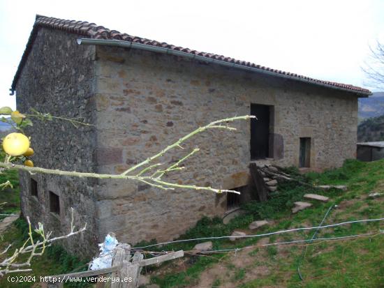 Cabaña a rehabilitar con gran finca - CANTABRIA