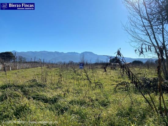 FINCA RUSTICA EN PONFERRADA, ZONA DEHESAS! - LEON