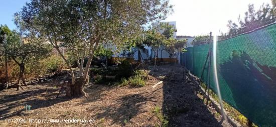 CASA CON PARCELA EN BORNOS - CADIZ