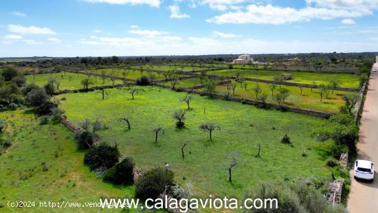 Terreno de más de 16.000 m2 cerca de Es Llombards - BALEARES