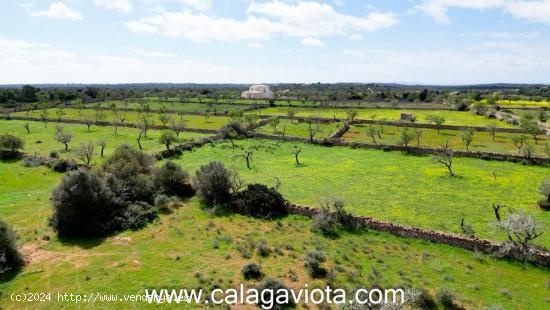 Terreno de más de 16.000 m2 cerca de Es Llombards - BALEARES