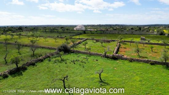 Terreno de más de 16.000 m2 cerca de Es Llombards - BALEARES