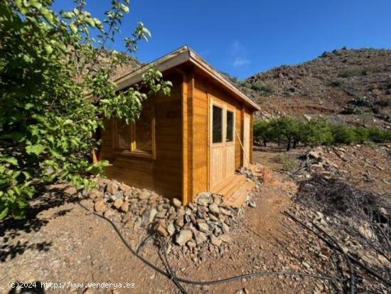 Vida autosuficiente en una gran finca con casa en el valle de los albaricoques - LAS PALMAS