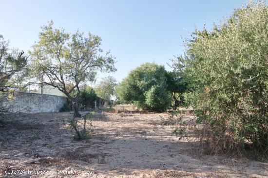  Se Vende en Sanlucar de Barrameda - CADIZ 