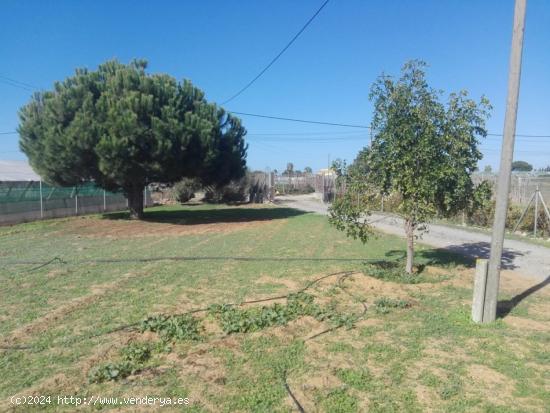 PARCELA RUSTICA EN LA JARA - CADIZ