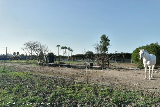 FINCA RÚSTICA EN LA JARA - CADIZ