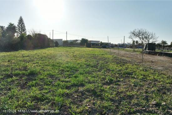 FINCA RÚSTICA EN LA JARA - CADIZ