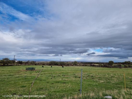 Se Vende en La Losa - SEGOVIA