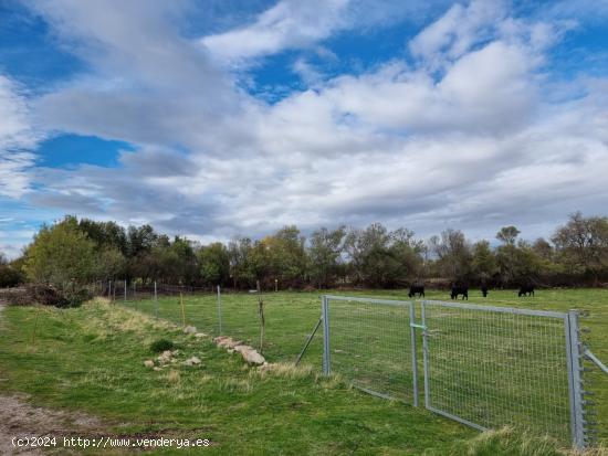 Se Vende en La Losa - SEGOVIA