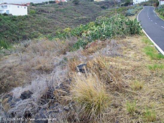 Se vende terreno rústico en Machado, El Rosario. - SANTA CRUZ DE TENERIFE