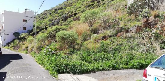 Se vende 2 solares urbanos en María Jiménez. - SANTA CRUZ DE TENERIFE