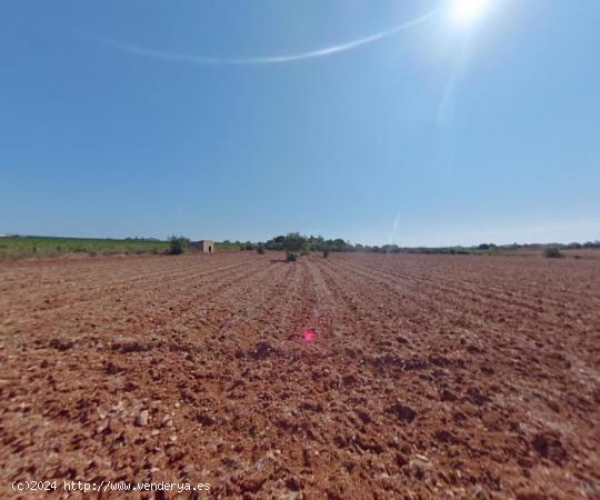 Perfecta finca para construir hogar - BALEARES