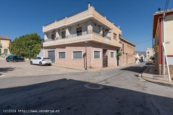  CHALET CON PISCINA Y NEGOCIO - GRANADA 