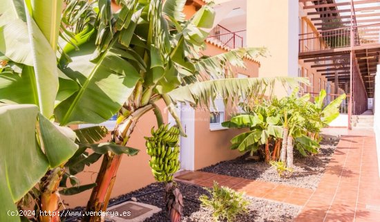 Casa de pueblo en Venta en San Miguel De Abona Santa Cruz de Tenerife