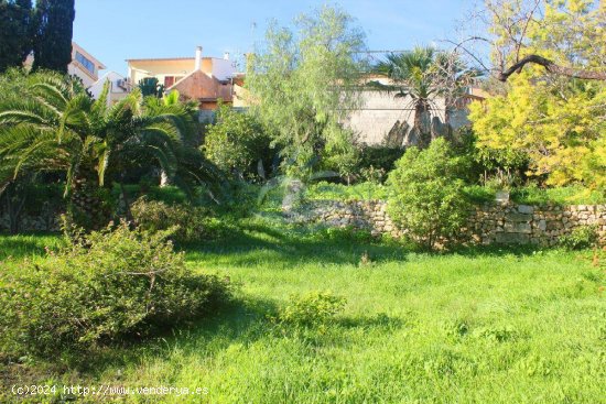 Cas Padrí Jordi, preciosa casa de pueblo mallorquina en Muro