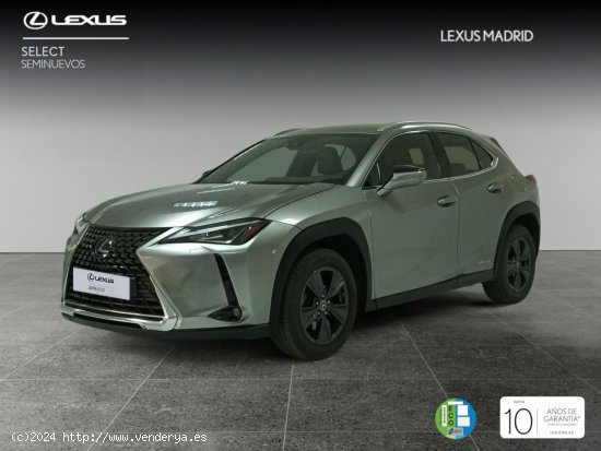 Lexus UX 2.0 250h Business - El Plantío 