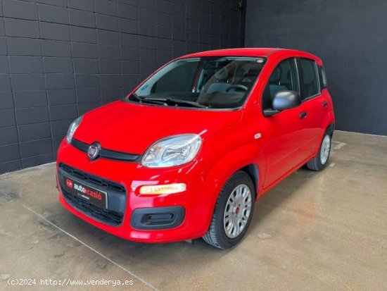 FIAT Panda en venta en Sant Celoni (Barcelona) - Sant Celoni