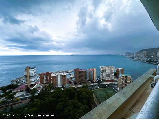 ALQUILER VACACIONAL ALBUFERETA ALICANTE - ALICANTE