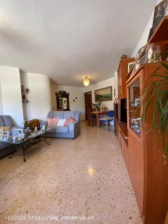  Preciosa vivienda en rotonda del puente rojo,junto centro de la ciudad. - ALICANTE 