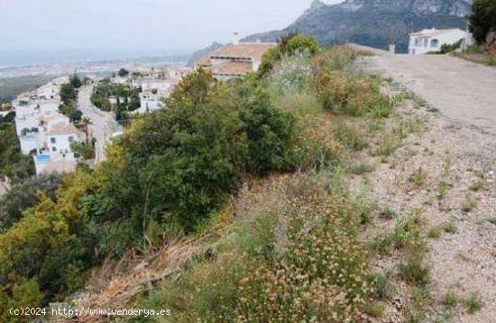 Terreno en Dénia, Alicante - ALICANTE