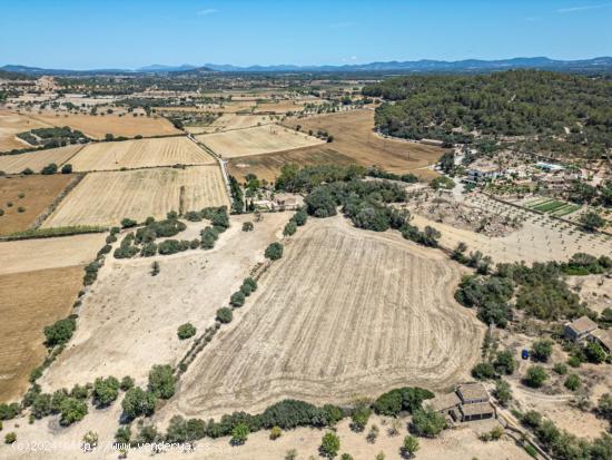  Terreno Rústico con Proyecto Ejecutivo en Venta en Porreres, Mallorca - BALEARES 