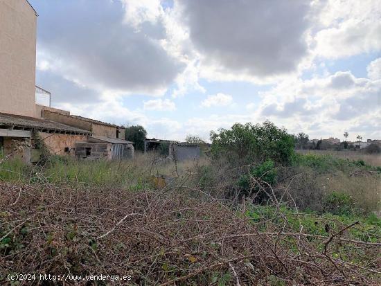 SOLAR PARA CONSTRUCCIÓN DE 39 VIVIENDAS EN LLUCMAJOR - BALEARES