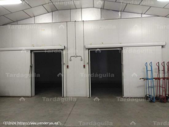 SE VENDE NAVE INDUSTRIAL CON CAMARAS FRIGORIFICAS - SALAMANCA