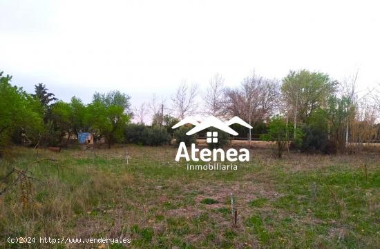  TERRENO EN VENTA - ALBACETE 