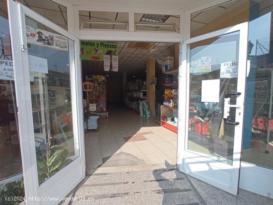 AL-051 Roldan Local comercial - MURCIA