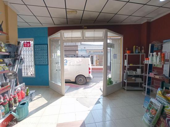 AL-051 Roldan Local comercial - MURCIA