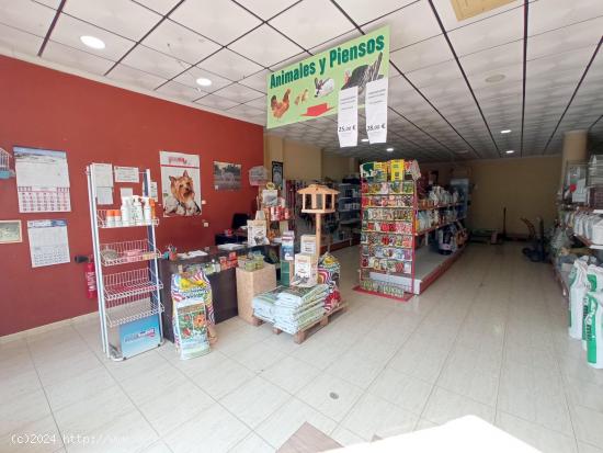 AL-051 Roldan Local comercial - MURCIA