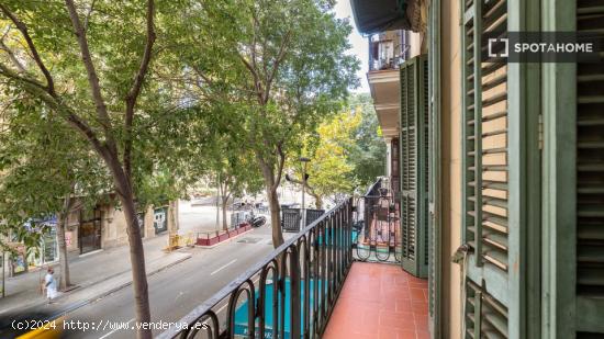 Se alquila habitación en piso de 7 habitaciones en Barcelona - BARCELONA