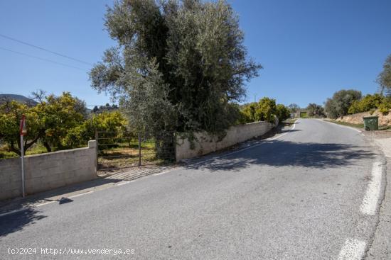 VENTA DE ESTUPENDO TERRENO URBANO EN EL VALLE - GRANADA