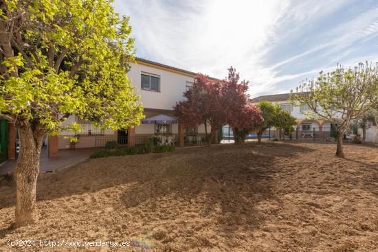 Dos casas en parcela de 724m con huerto y piscina - GRANADA