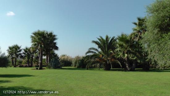 Magnífica propiedad grande en Santa Margalida - BALEARES