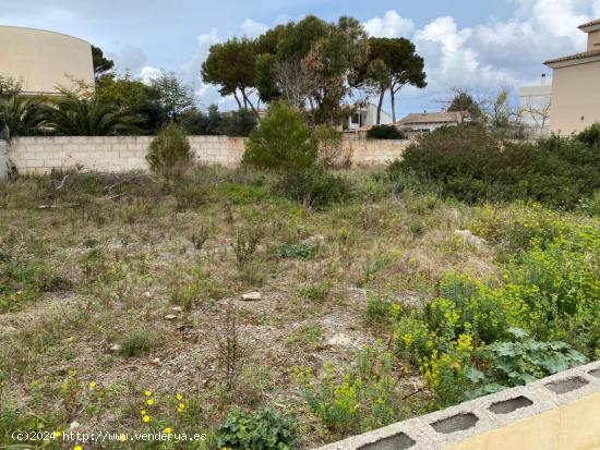 Parcela de 800 m2 en can picafort - BALEARES