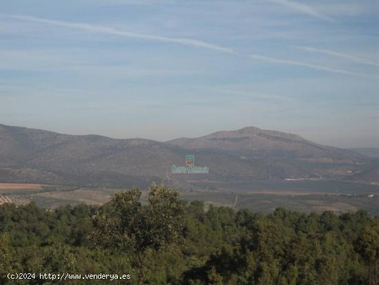 Finca Rústica en venta  - GRANADA