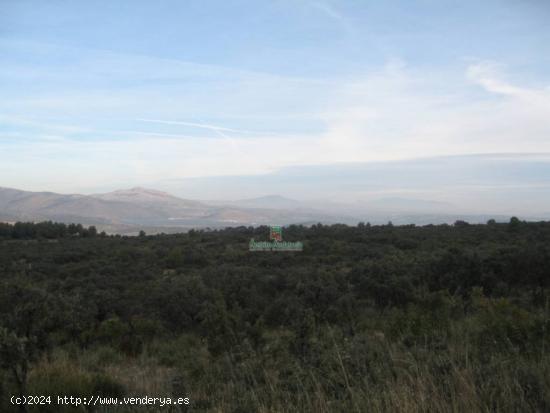 Finca Rústica en venta  - GRANADA