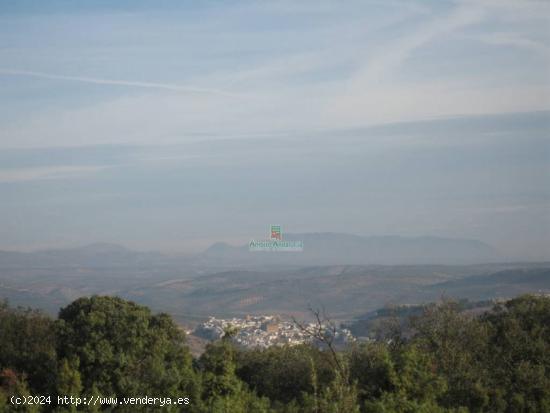 Finca Rústica en venta  - GRANADA