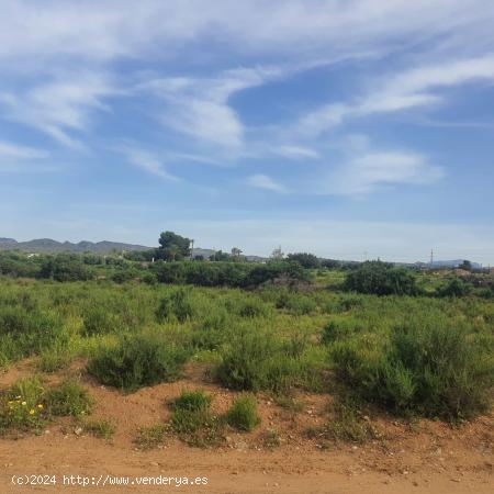 Terreno en Elche, zona Llano de San Jose. - ALICANTE