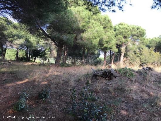  TERRENO EN CANET DE MAR - BARCELONA 