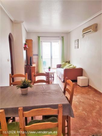 ¡¡ALQUILER VACAIONAL!! APARTAMENTO DE 2 DORMITORIOS CON PISCINA COMUNITARIA - ALICANTE