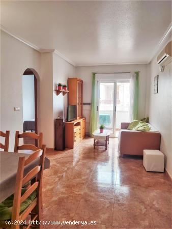 ¡¡ALQUILER VACAIONAL!! APARTAMENTO DE 2 DORMITORIOS CON PISCINA COMUNITARIA - ALICANTE