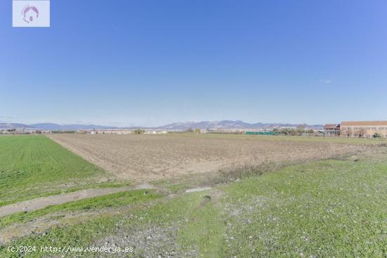 FINCA RUSTICA EN CÚLLAR VEGA - GRANADA