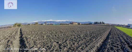 FINCA RUSTICA EN CÚLLAR VEGA - GRANADA