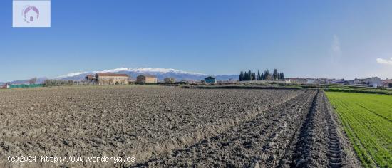 FINCA RUSTICA EN CÚLLAR VEGA - GRANADA