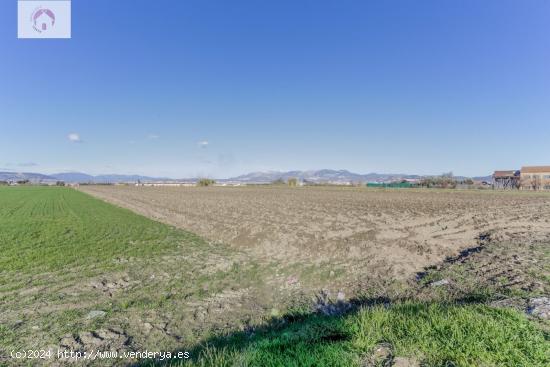 FINCA RUSTICA EN CÚLLAR VEGA - GRANADA