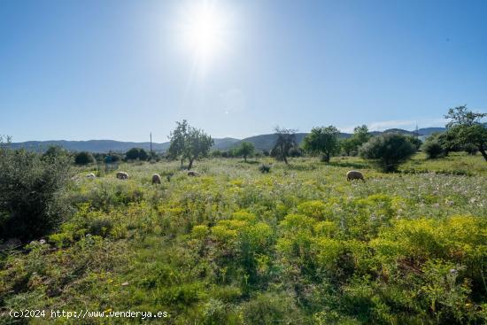 Se Vende en Palma de Mallorca - BALEARES